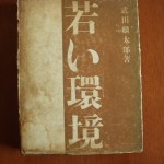 若い環境 ZN01394