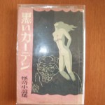 黒いカーテン ZN02071